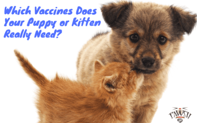 Which Vaccines Does Your Puppy or Kitten Really Need?