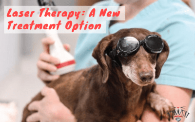 Laser Therapy: A New Treatment Option