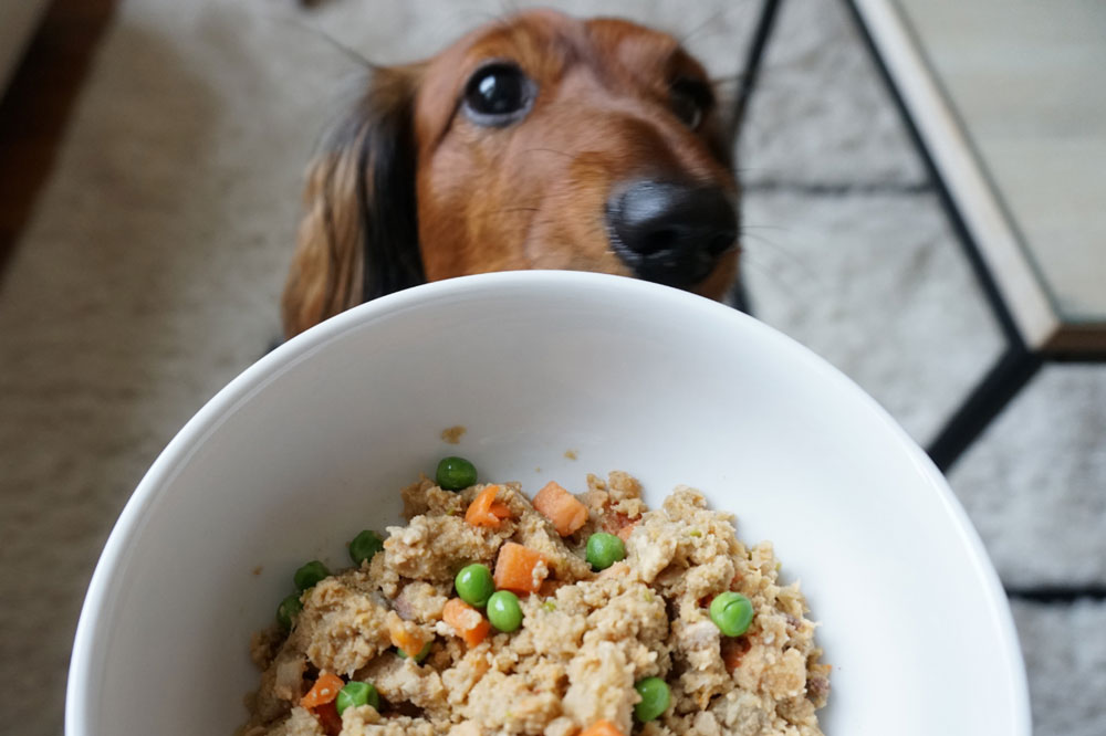 Best organic natural and grain free dog foods 2048x Pawsh Place 