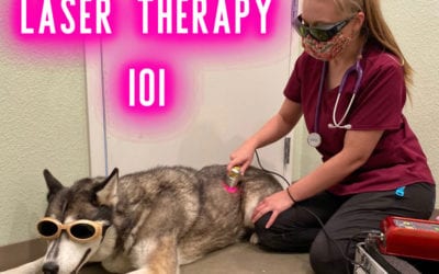 LASER THERAPY 101