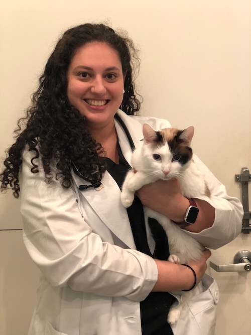 Dr. Cole Gevurtz