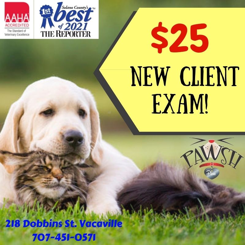 $25 New Clients