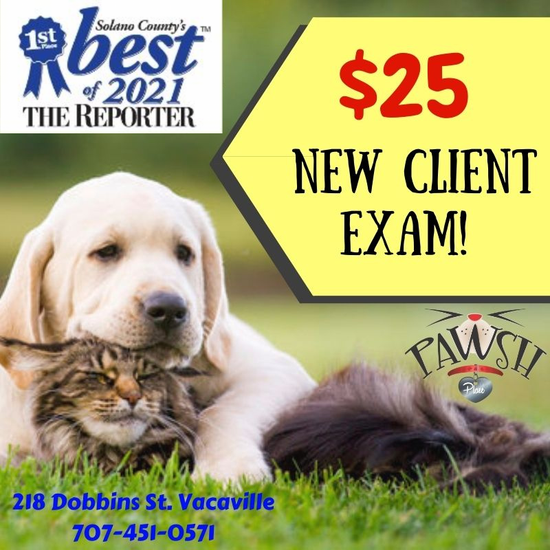 $25 New Clients