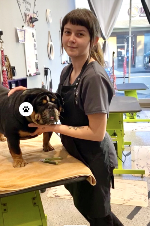 Darian Haddon Darian Haddon